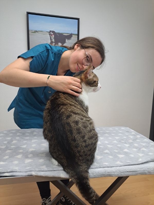 AMÉLIE TOMASINI - OSTEOPATHE ANIMALIER OA1471