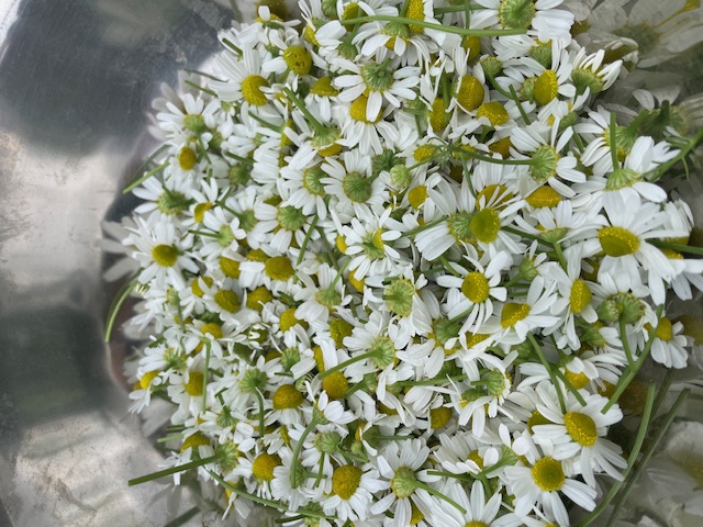 Photo FERME DE LA PICH